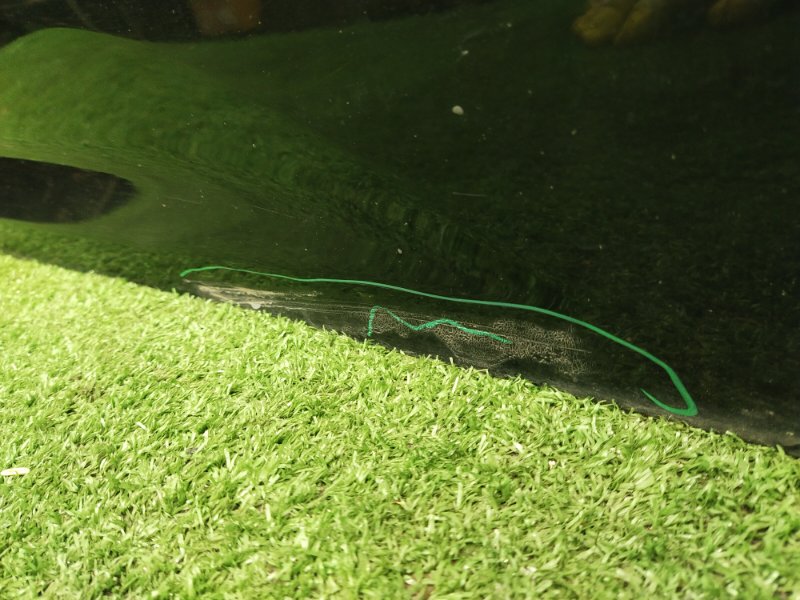 Дверь боковая, 12000 рублей, Красноярск