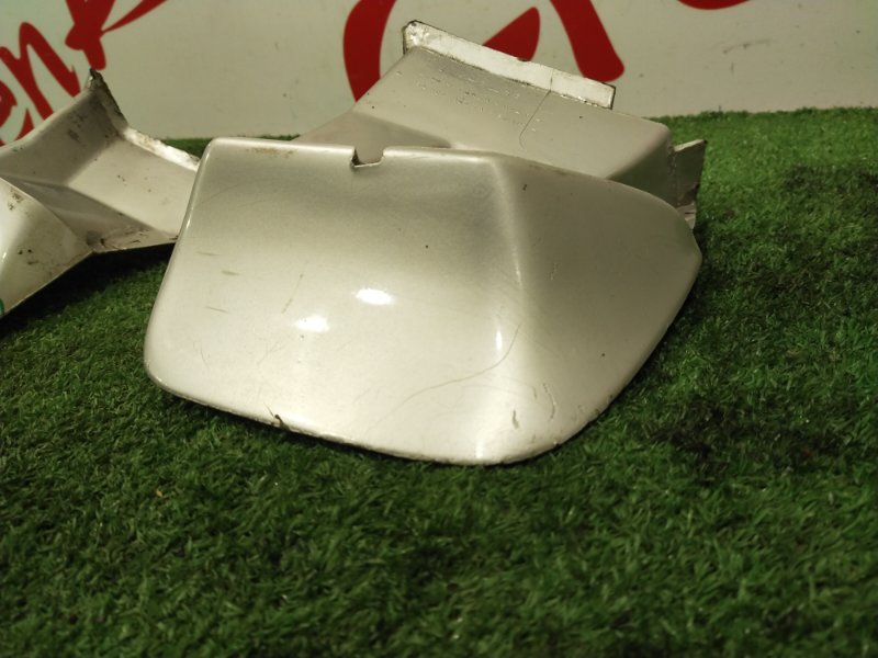 Брызговик, 200 рублей, Красноярск