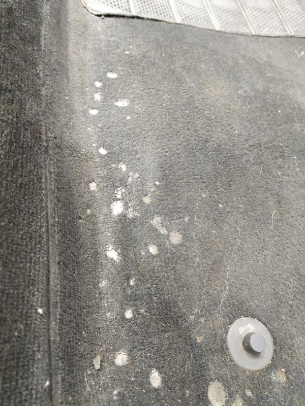 Ковер пола, 2500 рублей, Красноярск