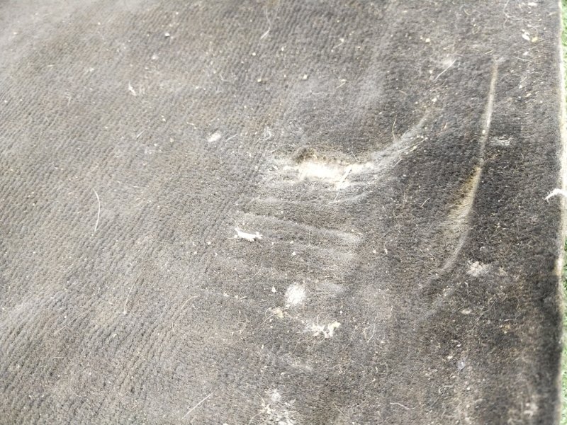 Ковер пола, 2500 рублей, Красноярск