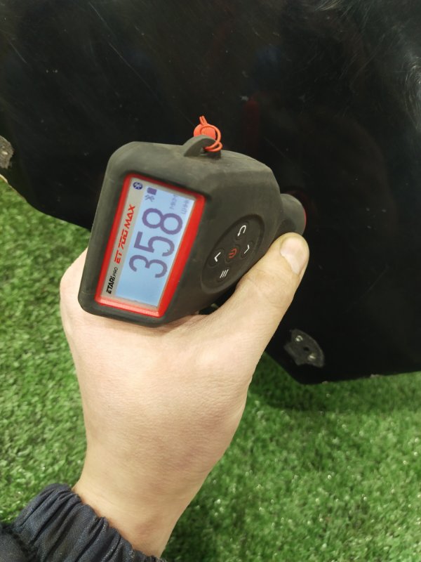 Крыло, 2000 рублей, Красноярск