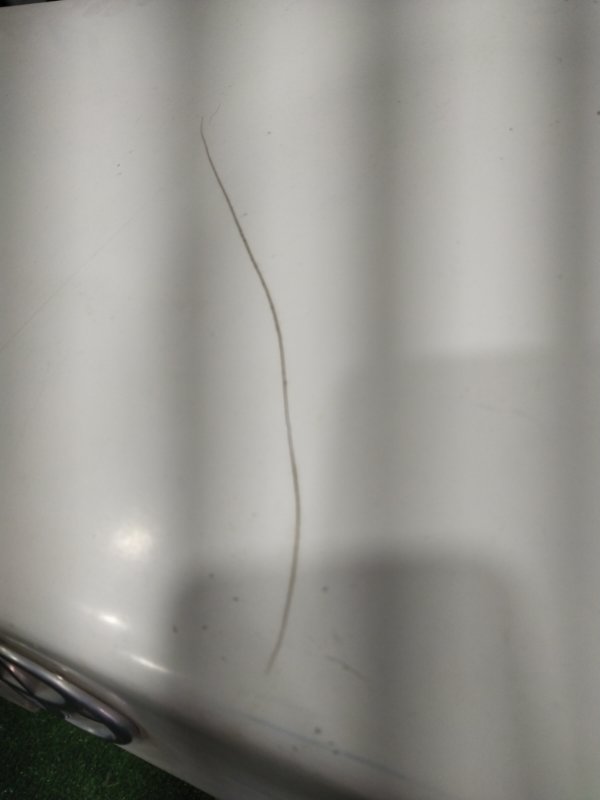 Крышка багажника, 7000 рублей, Красноярск