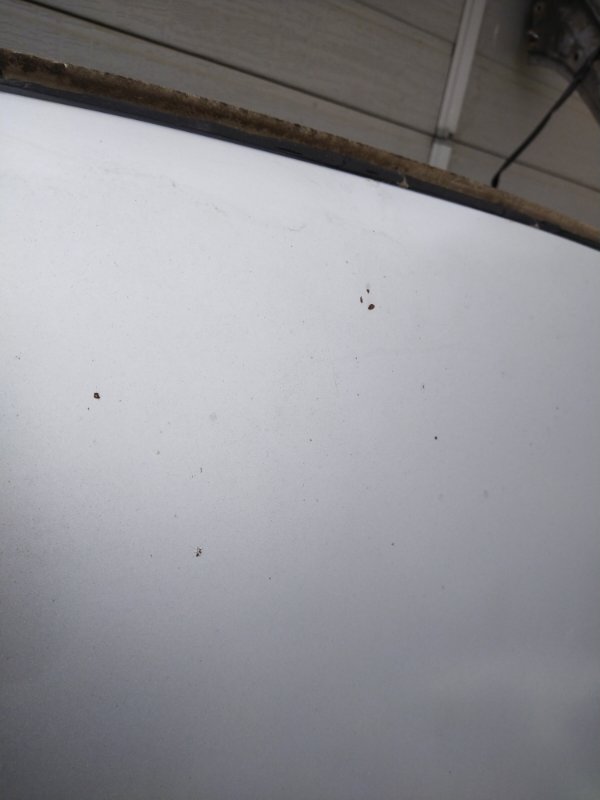 Крыша, 6000 рублей, Красноярск