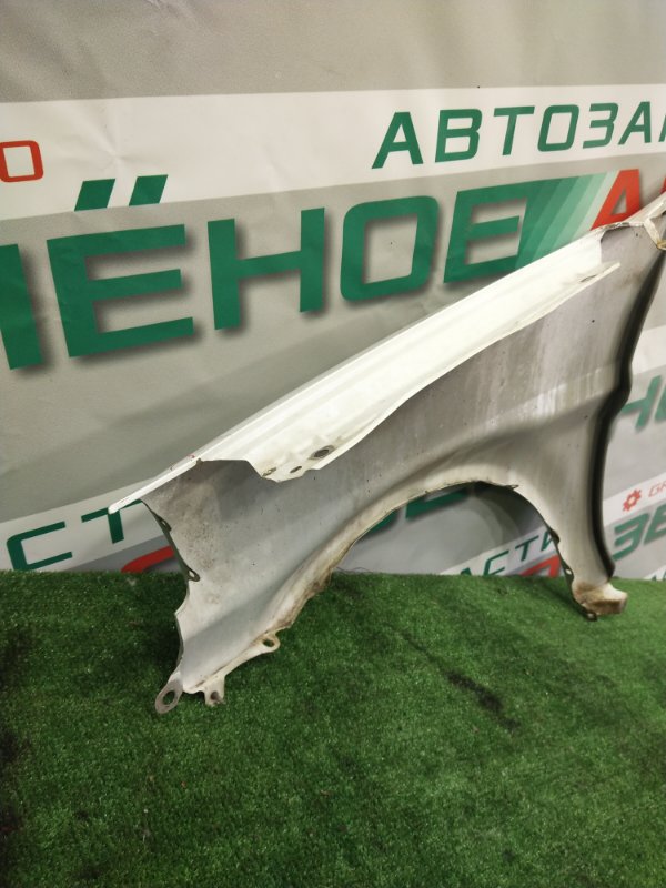 Крыло, 1000 рублей, Красноярск