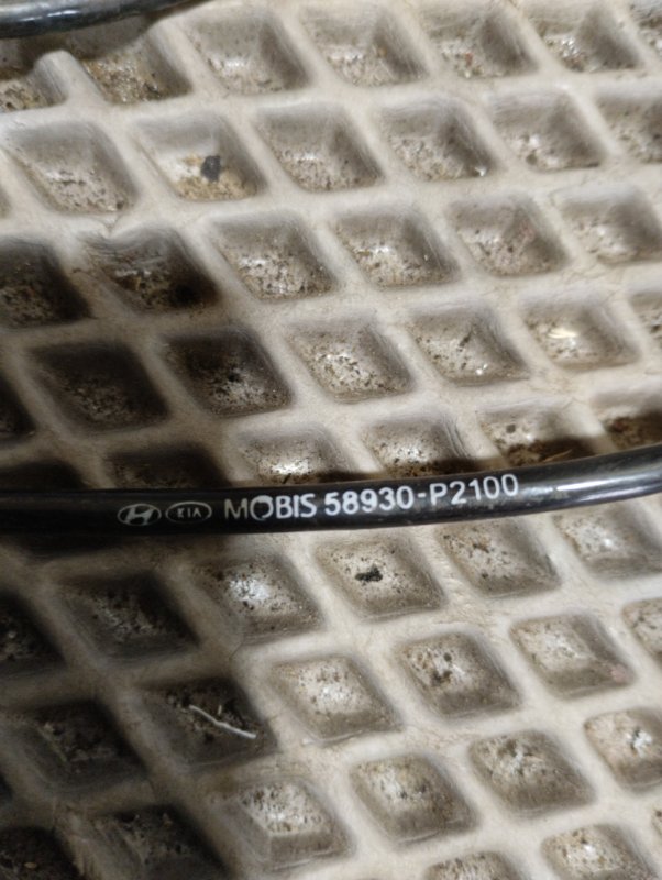 Датчик ABS, 3500 рублей, Ховрино