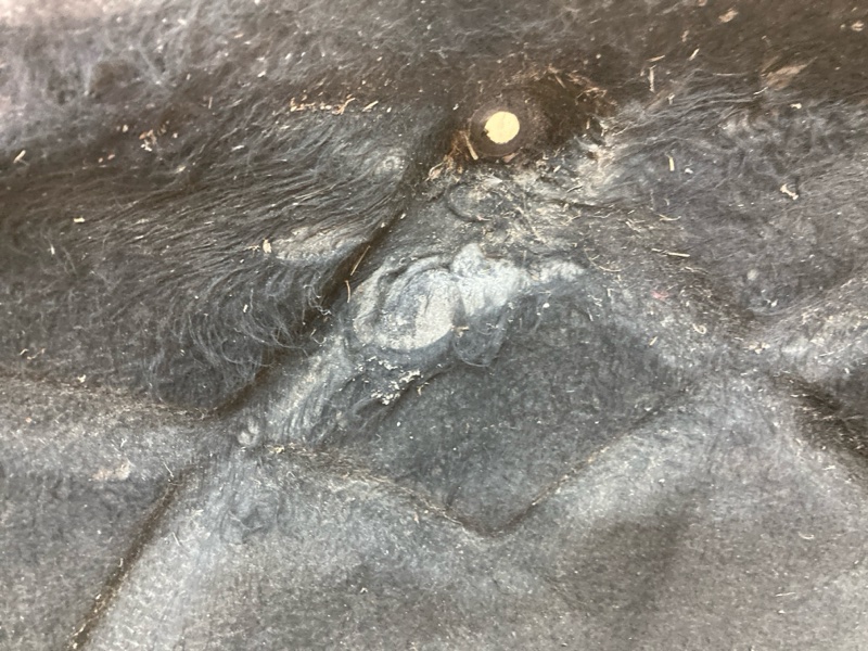 Подкрылок, 2000 рублей, Ховрино