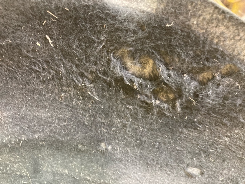 Подкрылок, 2000 рублей, Ховрино