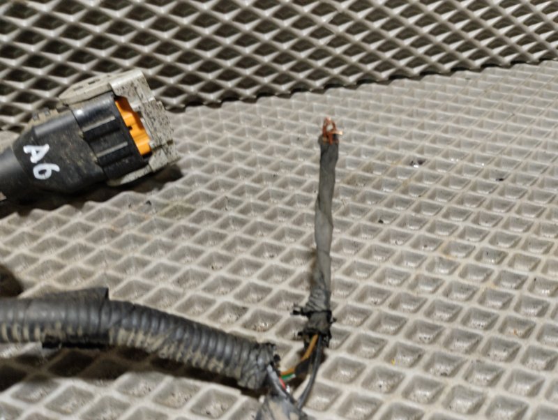 Проводка парктроника, 6000 рублей, Ховрино