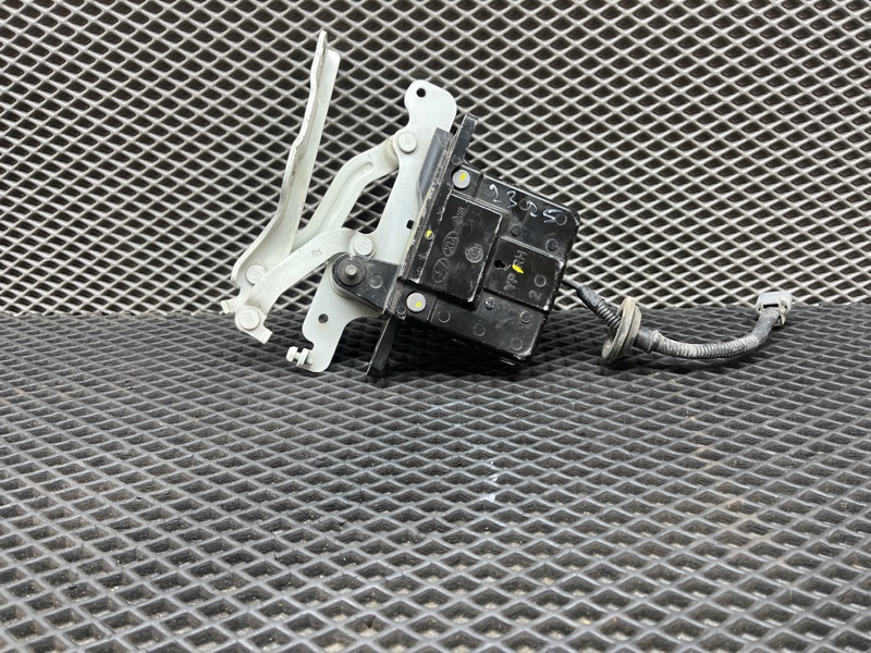 Петля капота, 9000 рублей, Ховрино