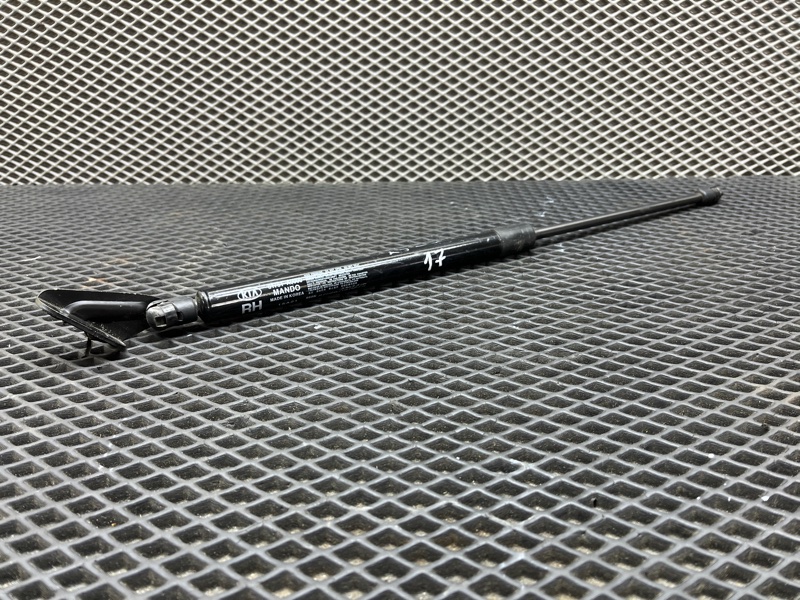 Амортизатор двери багажника, 3000 рублей, Ховрино