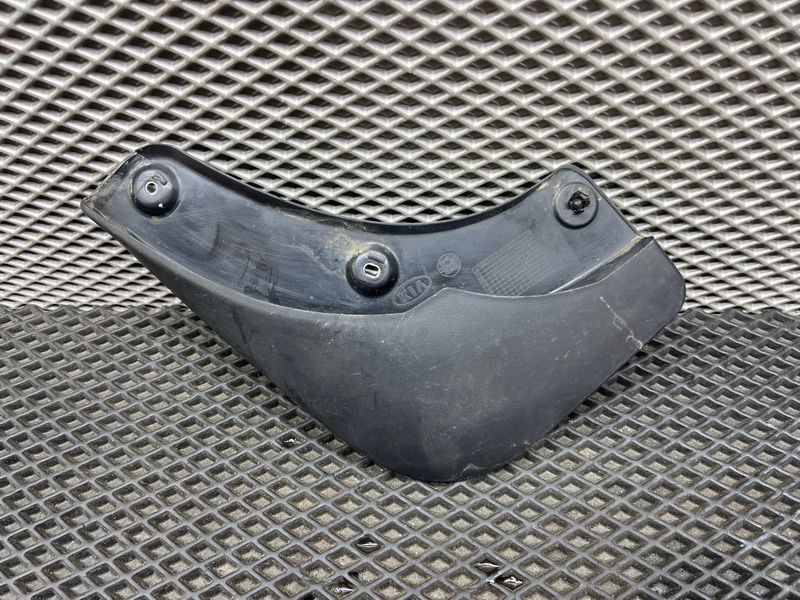 Брызговик, 1000 рублей, Ховрино