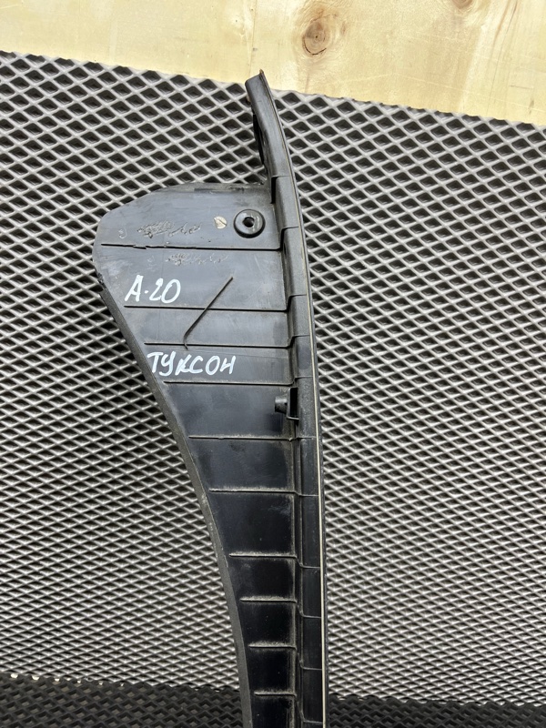 Пыльник крыла, 2000 рублей, Ховрино