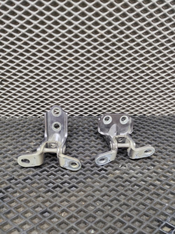 Петля двери, 2000 рублей, Ховрино