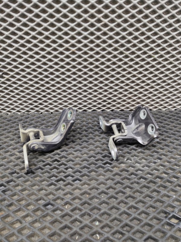 Петля двери, 2000 рублей, Ховрино