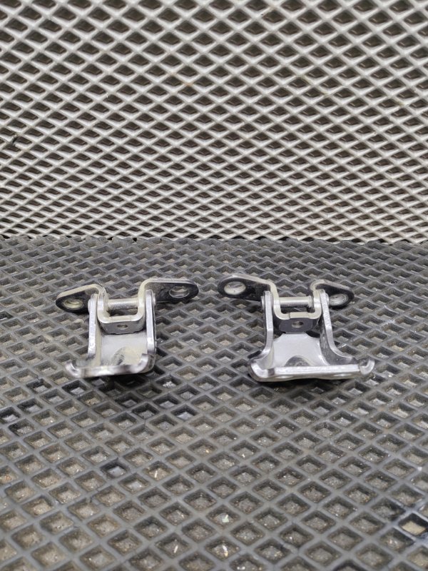 Петля двери, 2000 рублей, Ховрино