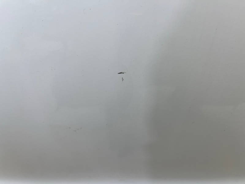 Дверь, 60000 рублей, Ховрино