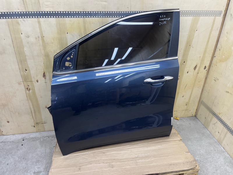 Дверь, 60000 рублей, Ховрино