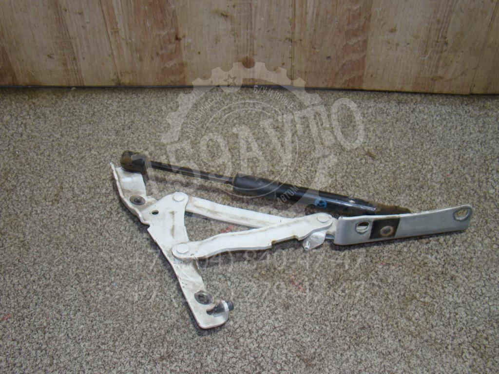 Петля крышки багажника, 1000 рублей, Пермь