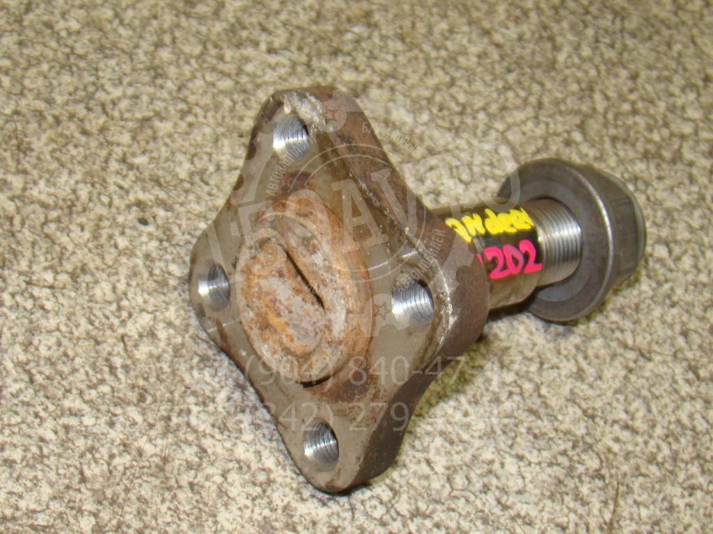 Цапфа, 500 рублей, Пермь