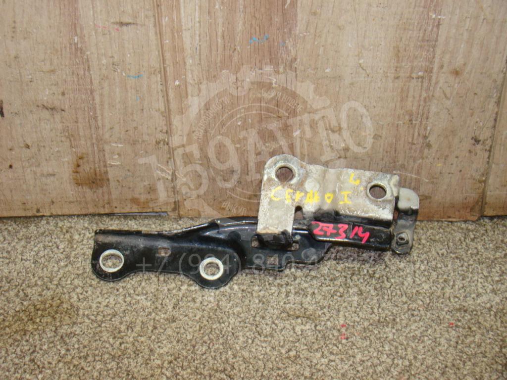 Петля капота левая, 500 рублей, Пермь