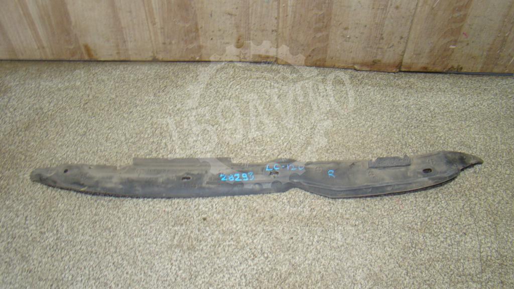 Пыльник крыла, 1000 рублей, Пермь