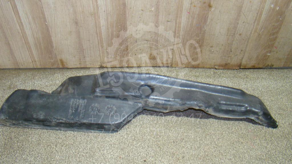 Пыльник крыла, 1000 рублей, Пермь