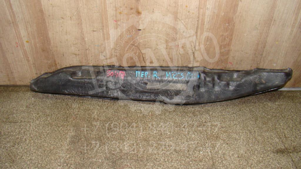 Пыльник крыла, 1000 рублей, Пермь