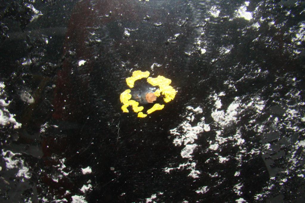 Крыша, 14000 рублей, Пермь