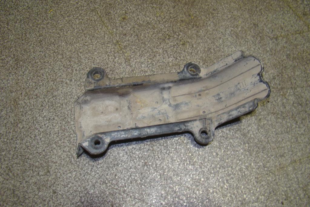 Пыльник наружный, 500 рублей, Пермь