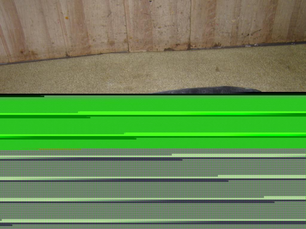 Пыльник крыла, 700 рублей, Пермь