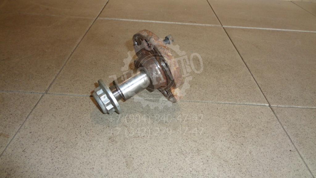 Цапфа, 1000 рублей, Пермь