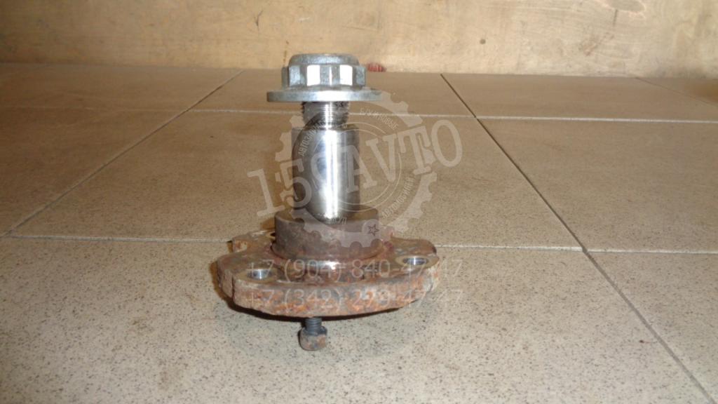 Цапфа, 1000 рублей, Пермь