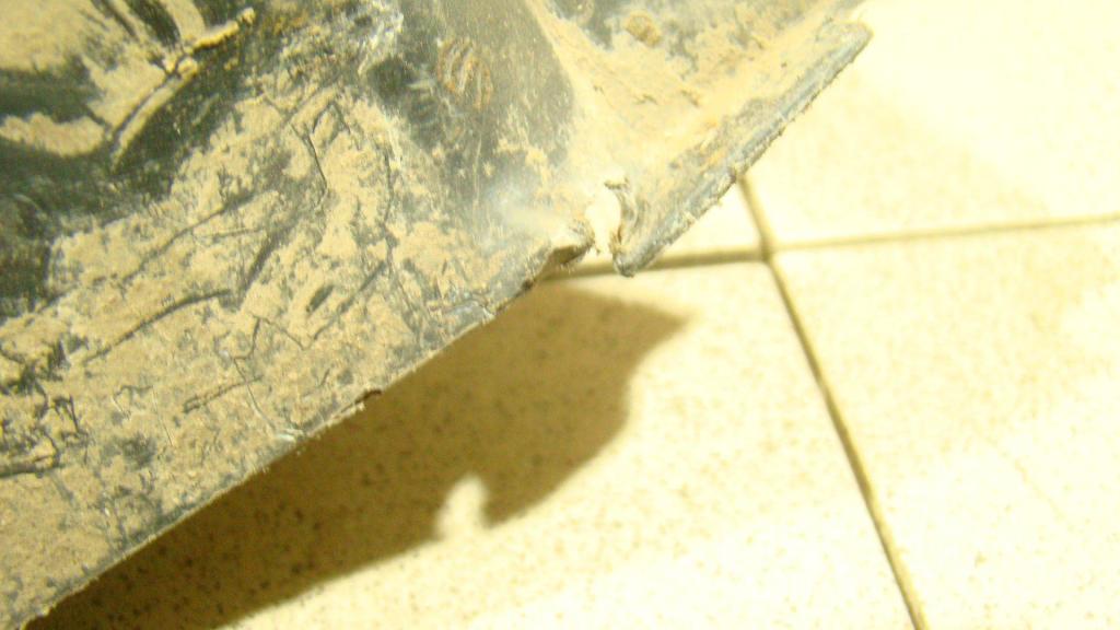 Пыльник наружный, 800 рублей, Пермь