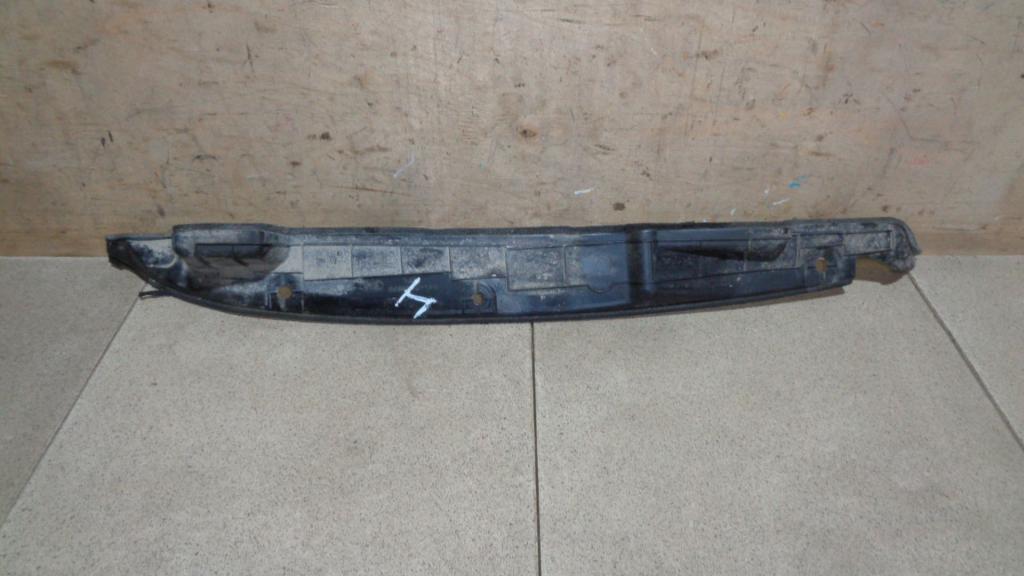 Пыльник крыла, 1000 рублей, Пермь