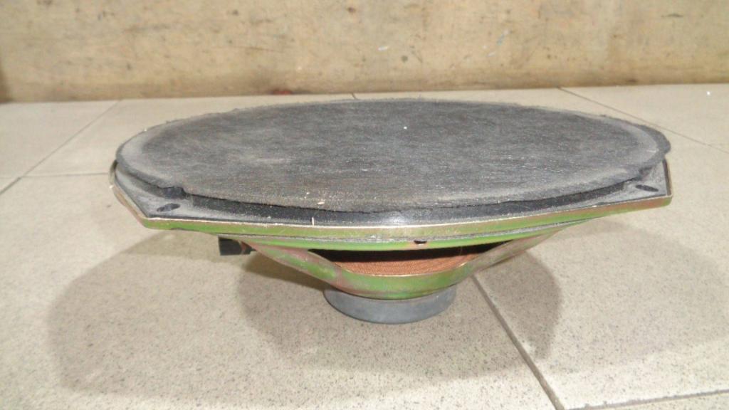 Динамик, 1000 рублей, Пермь