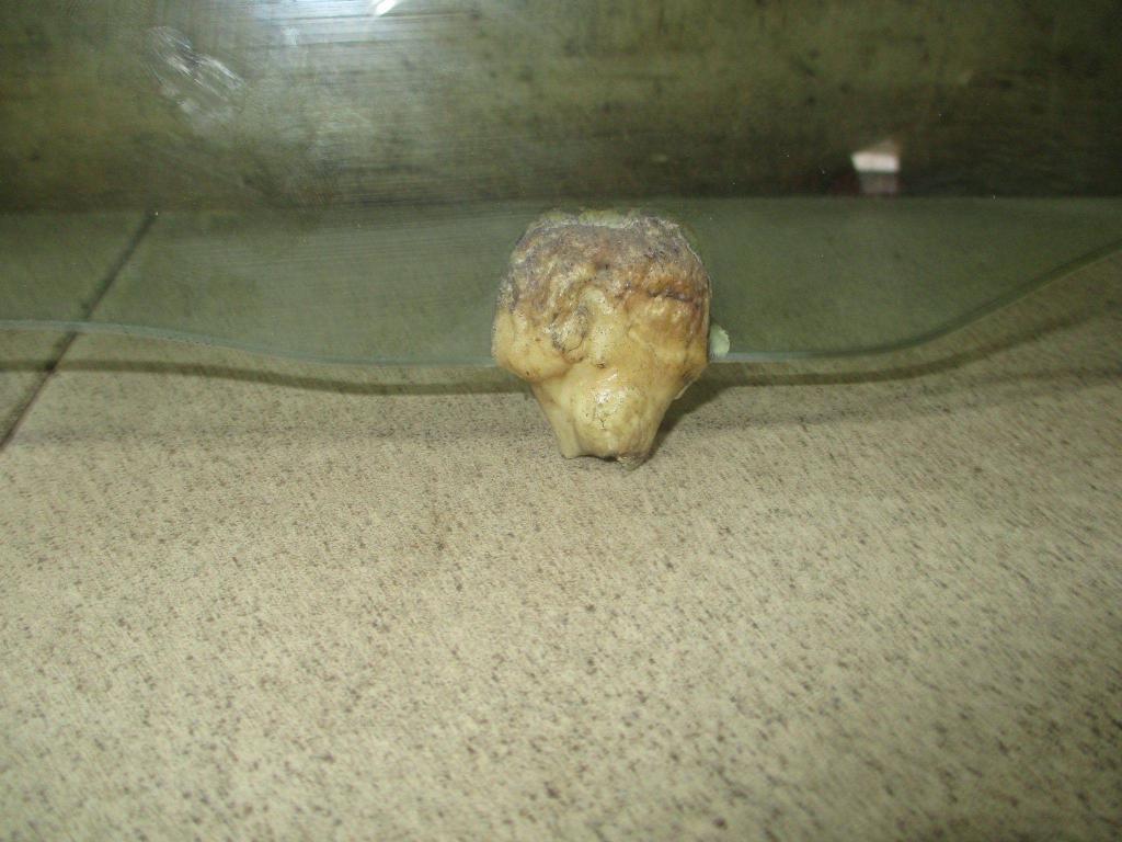 Стекло двери передней левой, 1000 рублей, Пермь