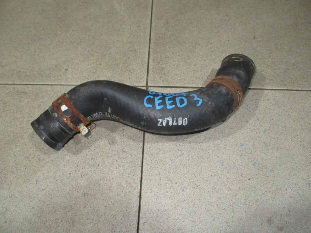 Патрубок радиатора, 800 рублей, Пермь