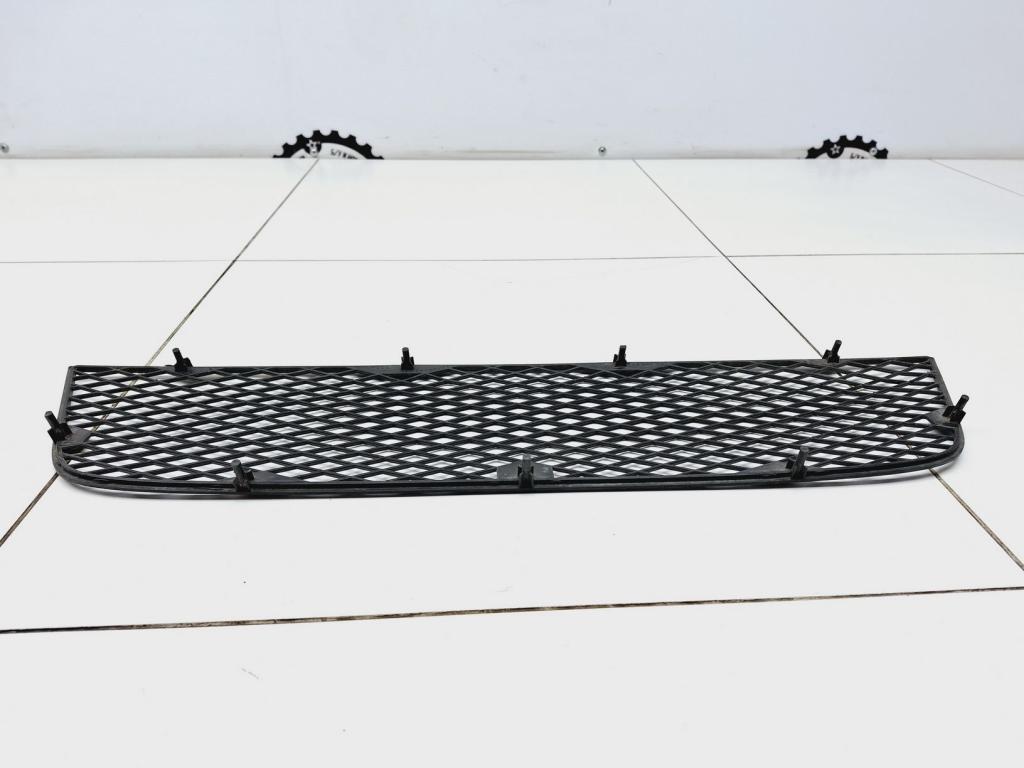 Решетка в бампер центральная, 2000 рублей, Пермь