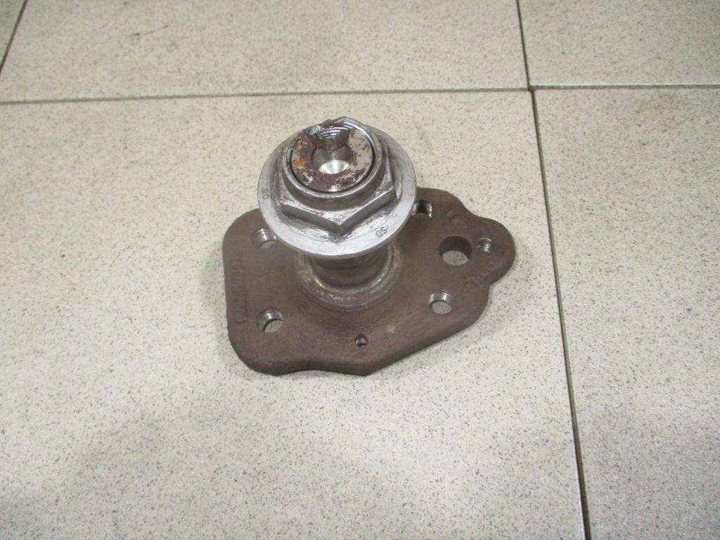 Цапфа, 1000 рублей, Пермь