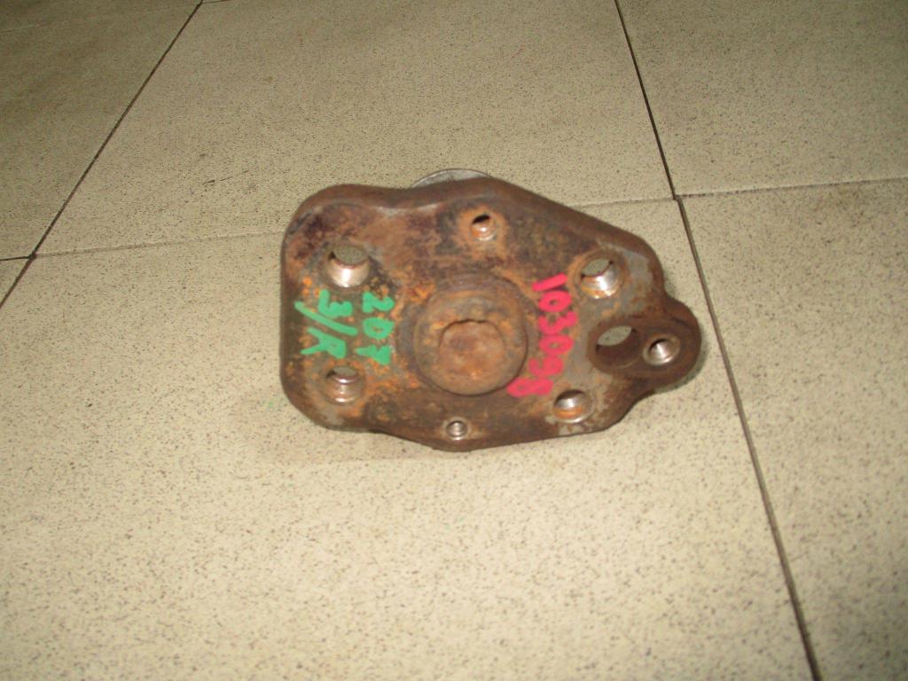 Цапфа, 1000 рублей, Пермь