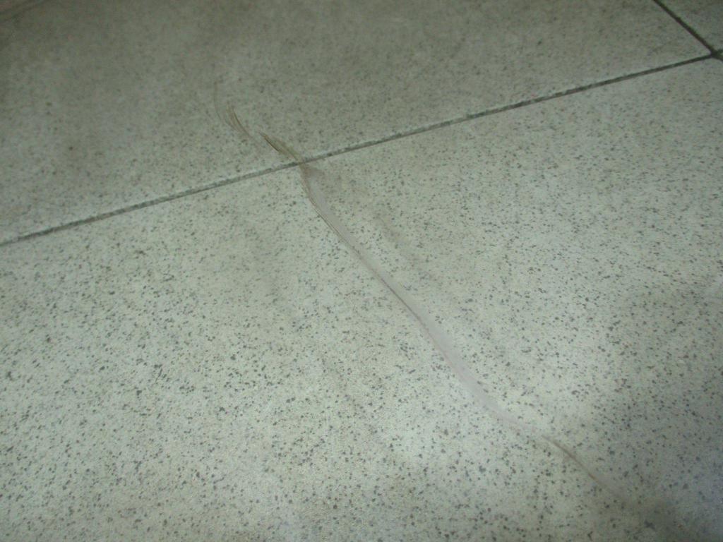 Стекло двери передней левой, 1000 рублей, Пермь