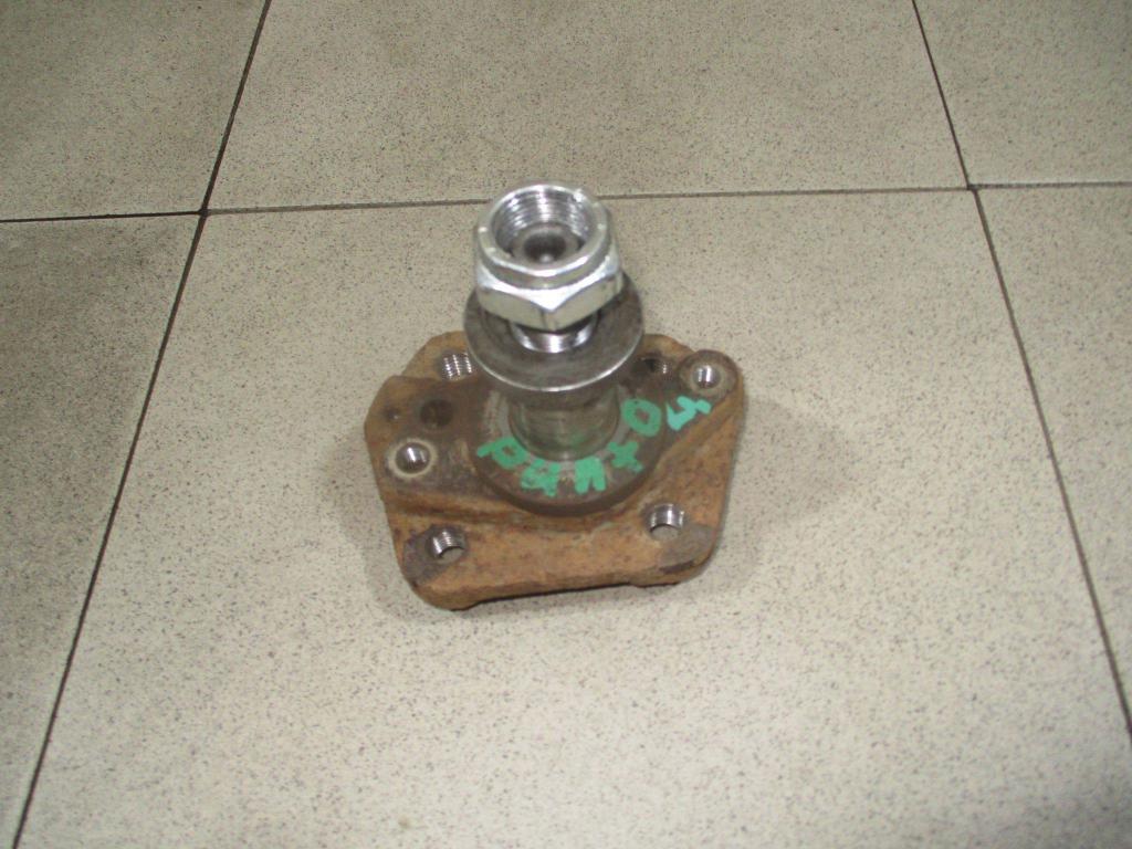 Цапфа, 1000 рублей, Пермь