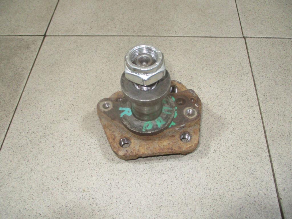 Цапфа, 1000 рублей, Пермь