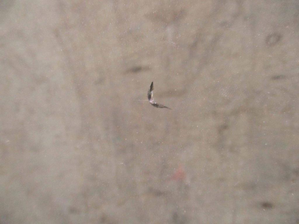 Стекло лобовое, 4000 рублей, Пермь