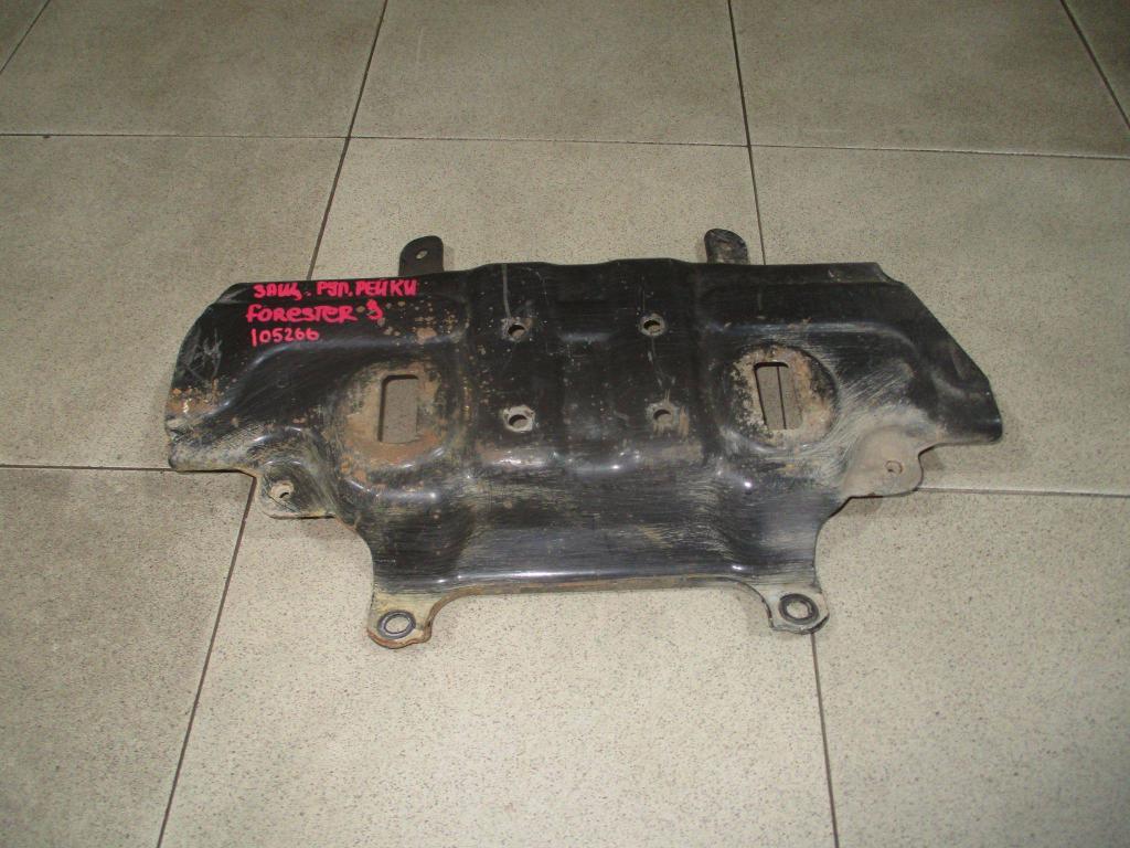 Защита, 1000 рублей, Пермь