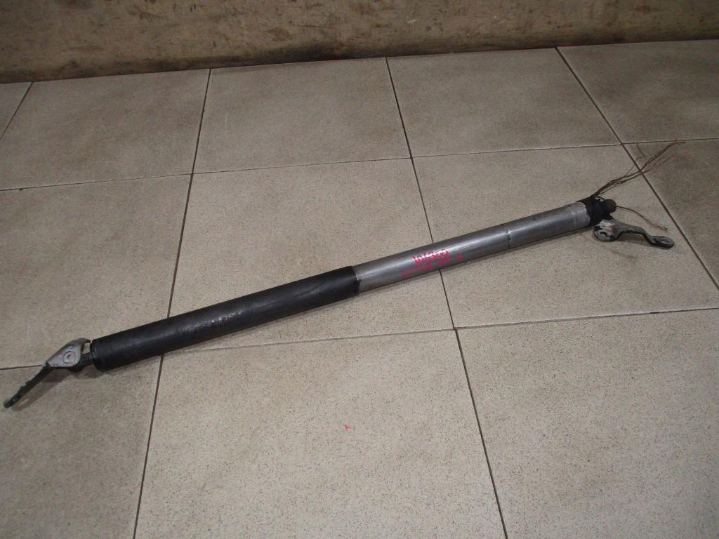 Амортизатор двери багажника, 3500 рублей, Пермь