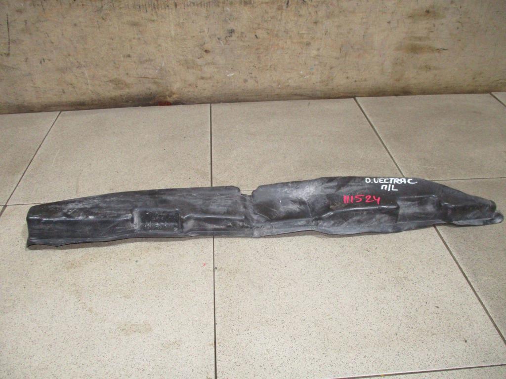 Пыльник крыла, 1000 рублей, Пермь