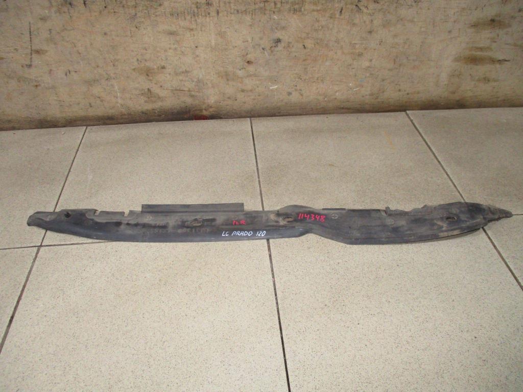 Пыльник крыла, 1000 рублей, Пермь