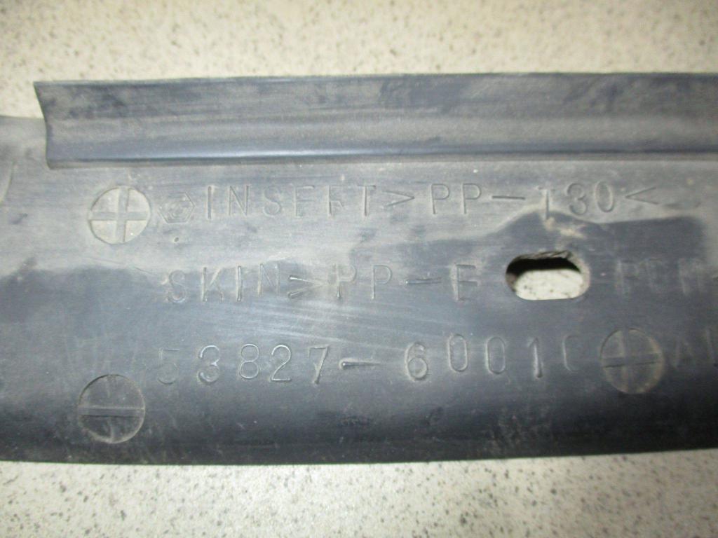 Пыльник крыла, 1000 рублей, Пермь