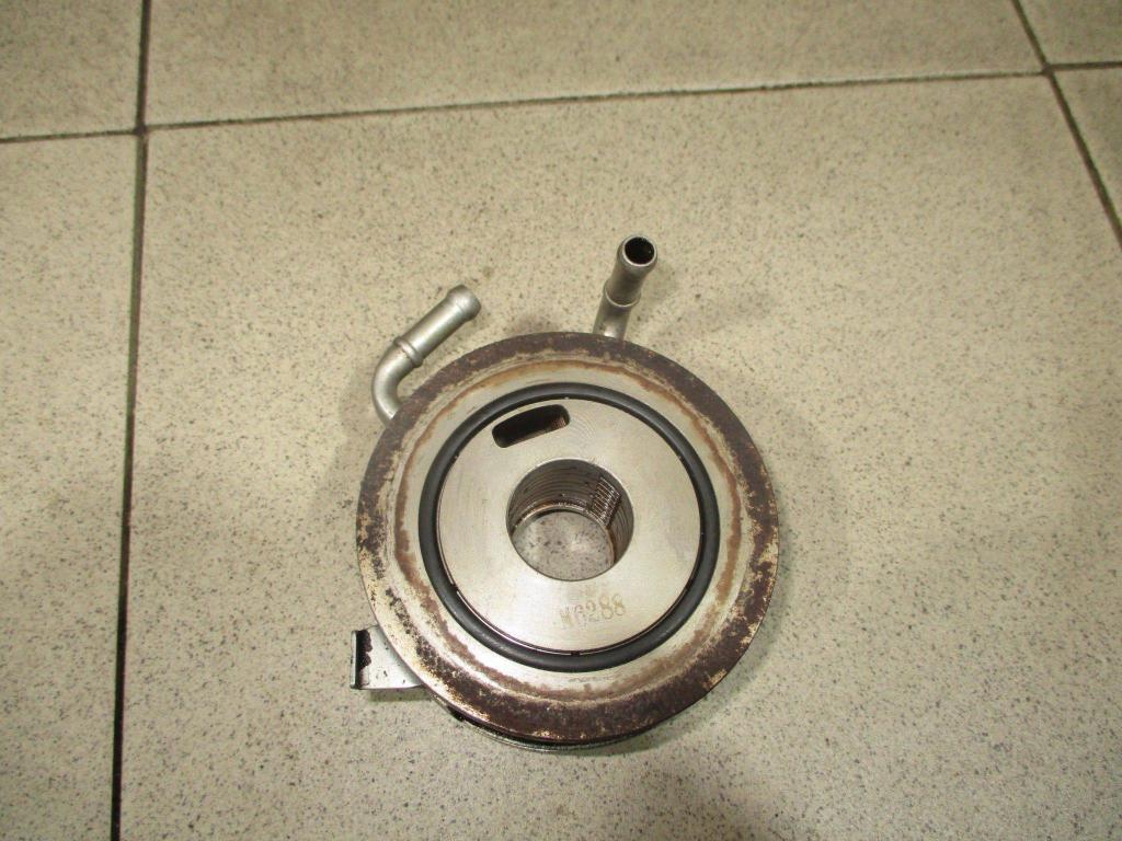 Радиатор масляный, 1500 рублей, Пермь